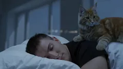 Vet du vad din katt gör på natten när alla sover?