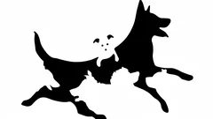 Antalet hundar du såg på bilden avslöjar din psykologiska ålder